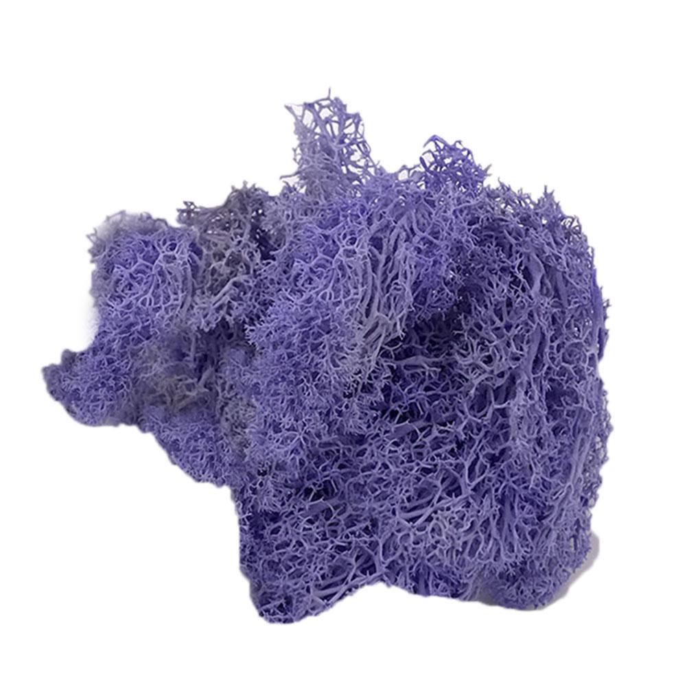 L & B Sztuczna roślina zachowany kwiat renifer mech DIY Craft Garden Home Decor