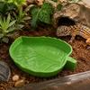 Molded Plant-Form Bowl Pair for Small Herps, Textured Plastic Dishes with Open Interiors for Food or Drinking Water