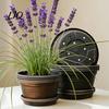Non-slip Bulb Growing Pots Plant Pot with Saucer, 10 Inch 13 Wide Flowerpot Drainage Flower Saucer Holes, Indoor Outdoor Planter for Tulips