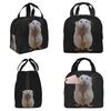 Rat Playing The Saxophone Insulated Lunch Bag for Kids School Cooler Thermal Food Box Tote Portable Lunch Boxes Container