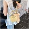 Niche Design Casual Simple Small Square Bag Fashionable New Women's Personalized Shoulder Messenger Bag