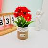 Wild Chrysanthemum Flower Pot Simulated Green Plant Potted Plant For Home Office