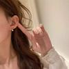 2026 New Light Luxury Exquisite High-end Design Water Drop Drill Ear Hole Earrings Temperament Earrings Cochlear Nails for Women