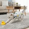 Fruit Printed Cat Sterilization Suit High Elasticity Cat Jumpsuit Pet Weaning Suit  Pet Care