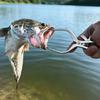 Anglers Essential Stainless Steel Fish Mouth Spreader Fishes Lip Grabber Fish Mouth Opener For Effective Hook Retrieval
