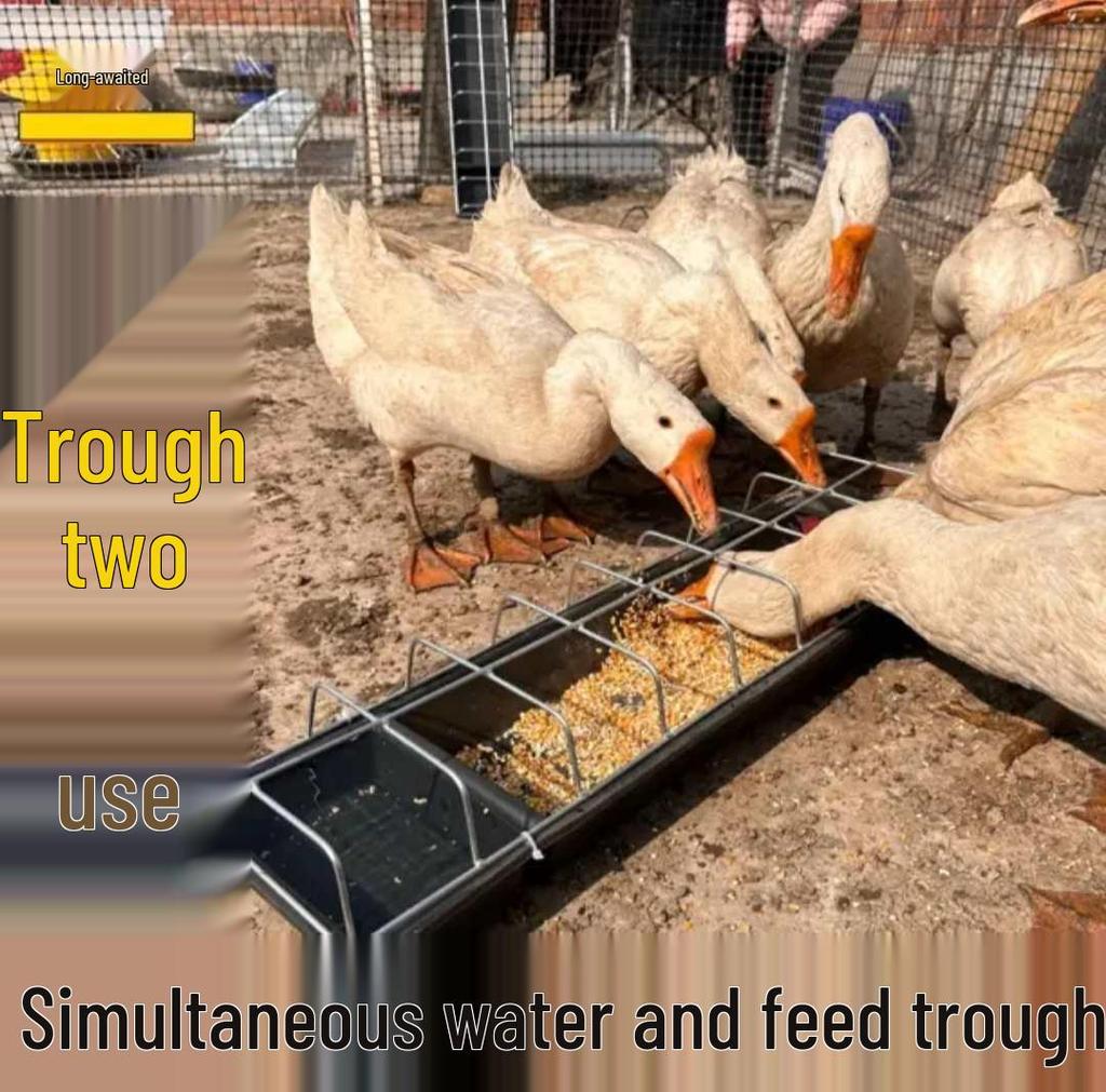 Chicken Duck Goose Dual-use Water and Feed Trough - Wet/Dry Feeding for Free-range Poultry, Non-Tip Design
