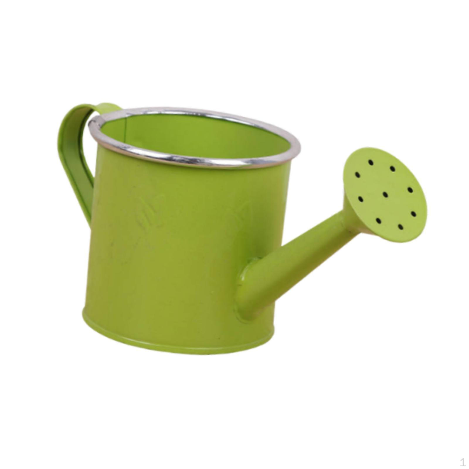 

Metal Watering Can for Indoor Outdoor Plants Practical Gardening Tool Gifts with Sprinkler Head зелений