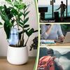 4pcs Self Watering Spikes Indoor Plant Watering Globes Bird Shape Automatic Irrigation Spikes Plant Watering Devices