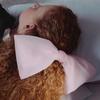 [Elizabeth Moments] Large Chiffon Ribbon Hair Pin