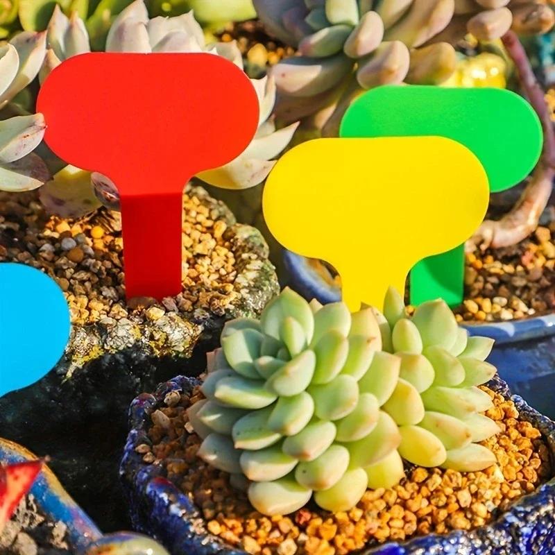 100pcs-Plastic plant labels, garden labels, hanging labels for plants, used for horticulture and organization-random color