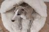 Natural Sheepskin Pet Cave - White 60 cm
