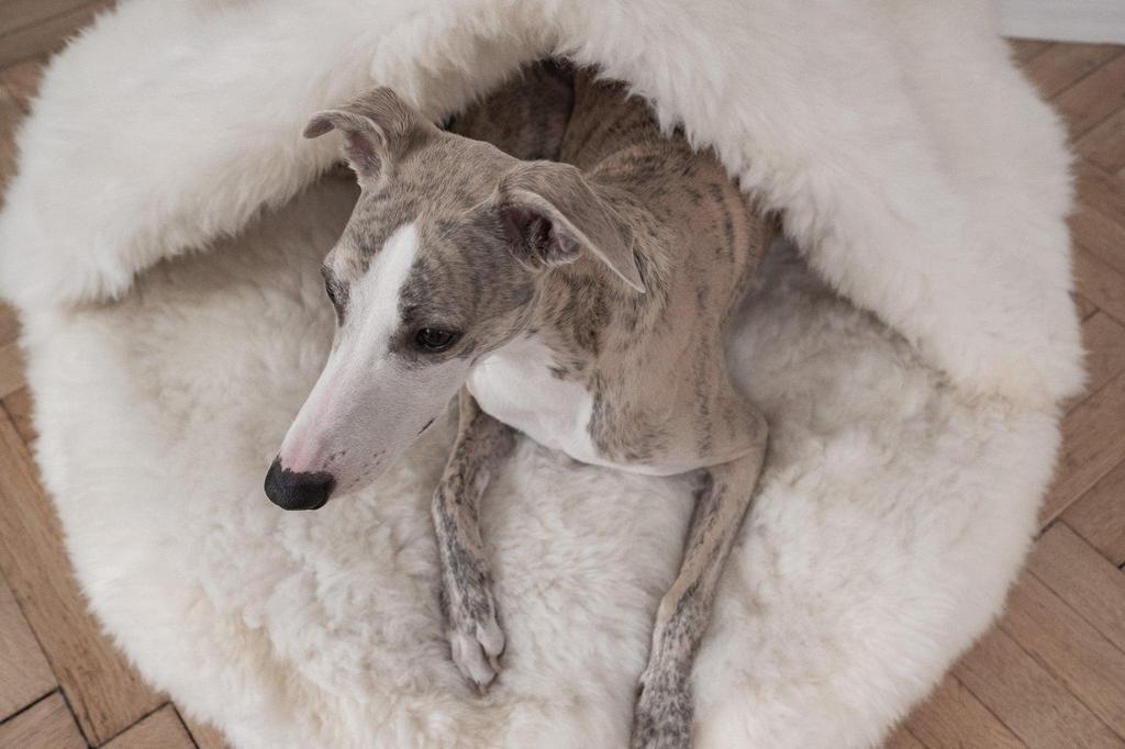 Natural Sheepskin Pet Cave - White 60 cm