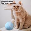 Interactive Cat Ball Toy USB Rechargeable Self Moving Ball Automatic Rotatable Smart Cat Ball Indoor Active Rolling Toys for Kitten Cats