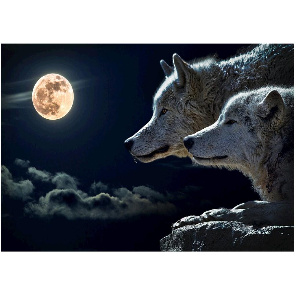 1pc 5D DIY diamond of painting Animal Cartoon Embroidery Craft stitch - Wolf
