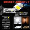 Briteye LED Headlight HB4 Fog Light Compatible with New Vehicle