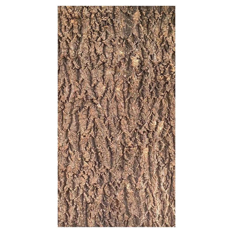 Natural Champagne Cork Bark Decoration Panel for Reptile Hiding & Aquascaping