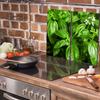 Glass Protective Stovetop Plate 2x30x52 Basil