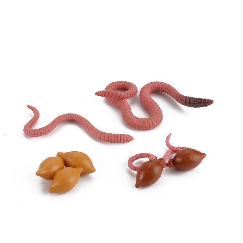 Childrens Educational Animal And Insect Growth Cycle Pvc Earthworm Octopus Model Set For Kids Learning And Activities