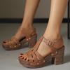 22 spring and summer European and American hollow buckle large size thick heel sandals new breathable hole sandals