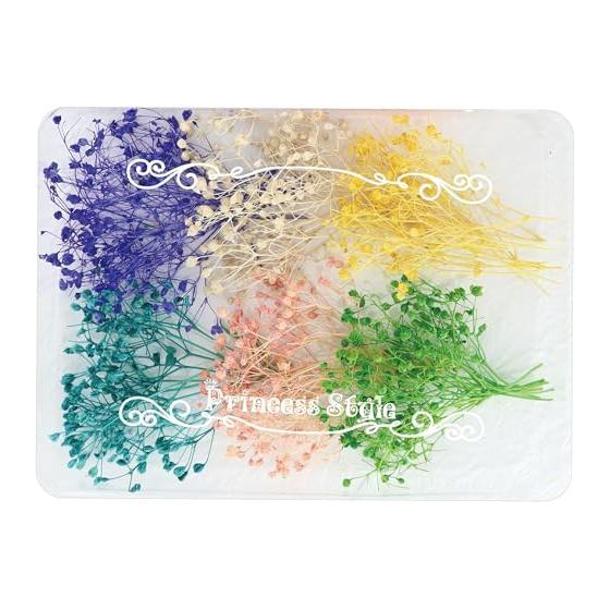 Mini Gypsophila Dried Flowers Herbarium Flower Materials for Resin Small Buds Small Flowers Encapsulated Materials Herbarium Ballpoint Pen Nails