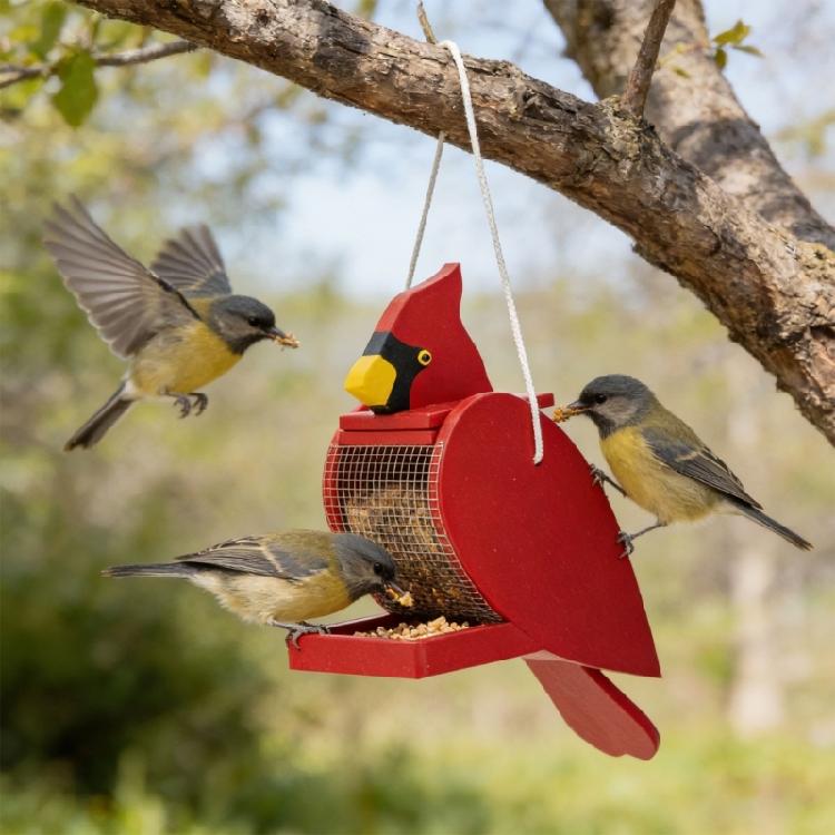 Organic Wood Wild Bird supplier daubed Red Climate Proof Build Suitable For Yard Or deck arrange