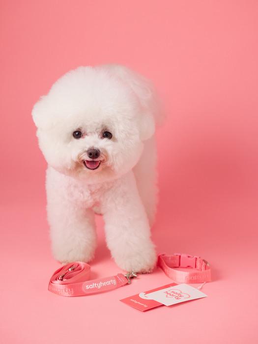 SALTYHEARTY Повседневная Кара pink