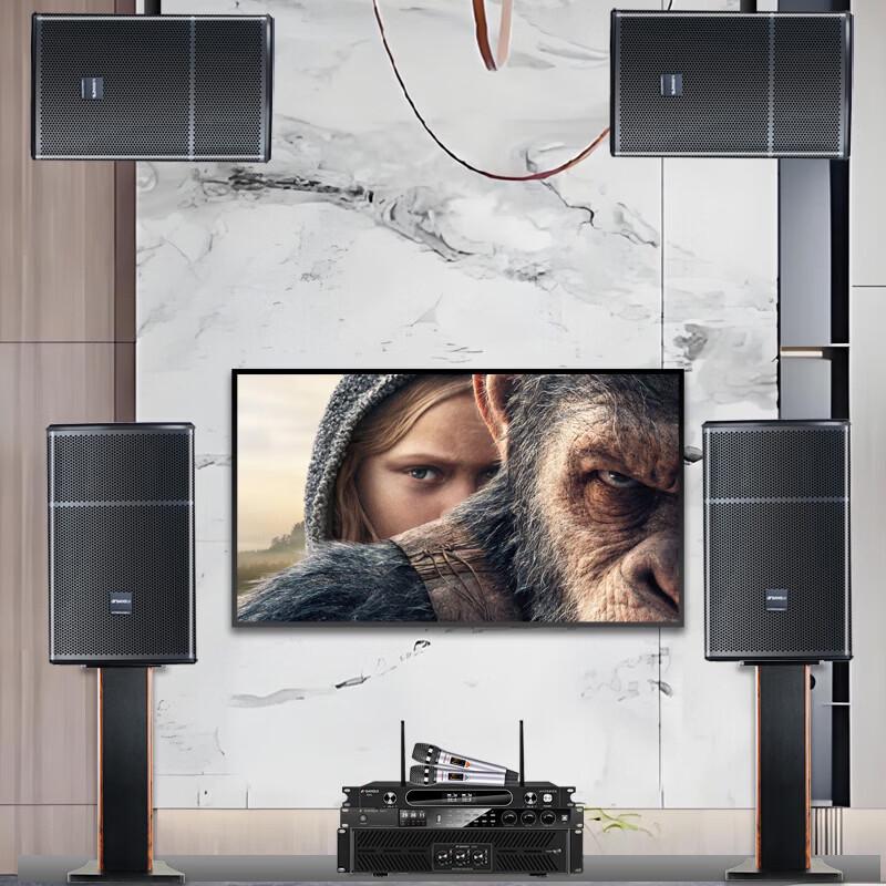 SANSUI SQ12 Home Karaoke System CN plug (adapter included)