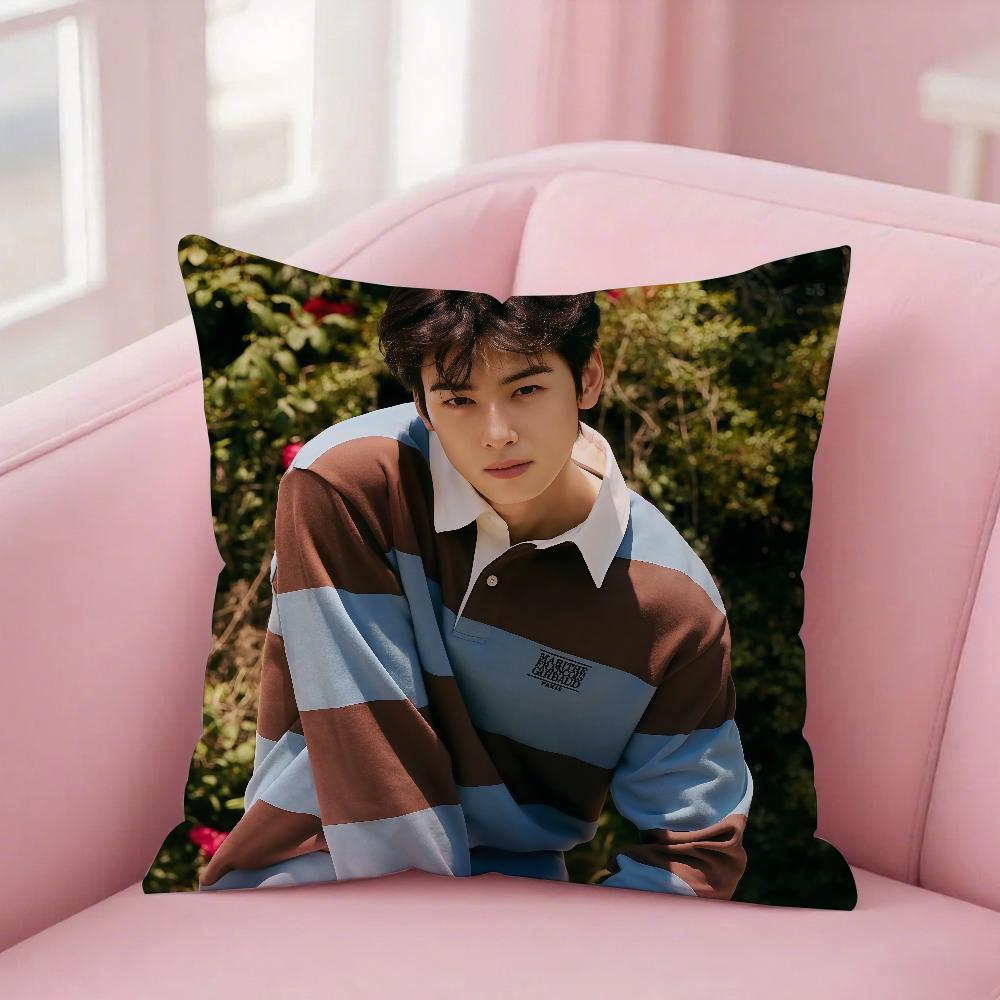 Singer C-Cha Eun-Woo Pillow Case Square Double-Sided Printing Sofa Cushion Cover Bedroom Bedside Pillowcover