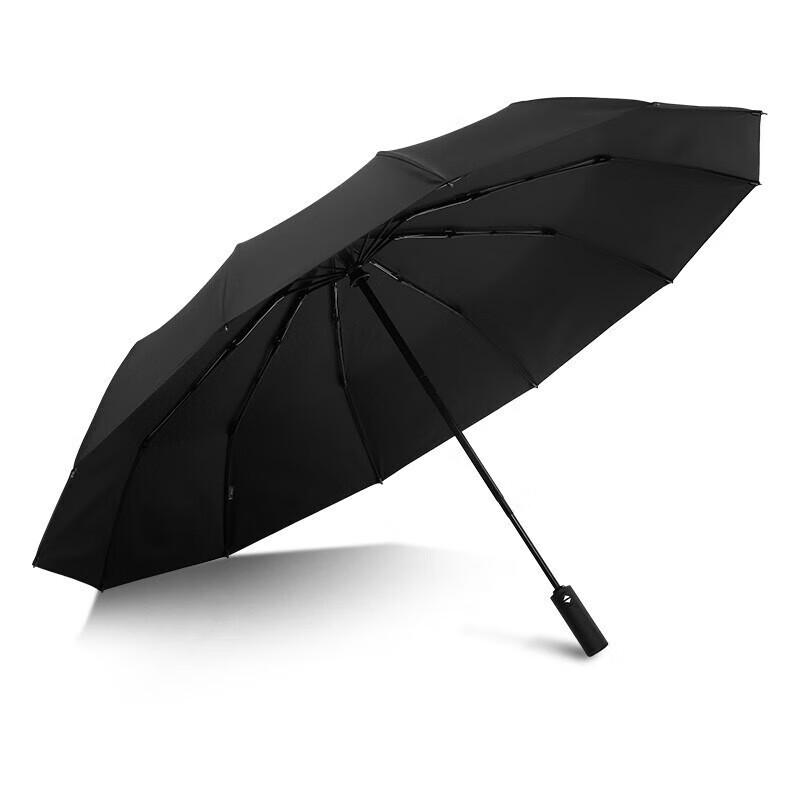 Paradise Fully Automatic Extra-Large 12-Rib Windproof Umbrella