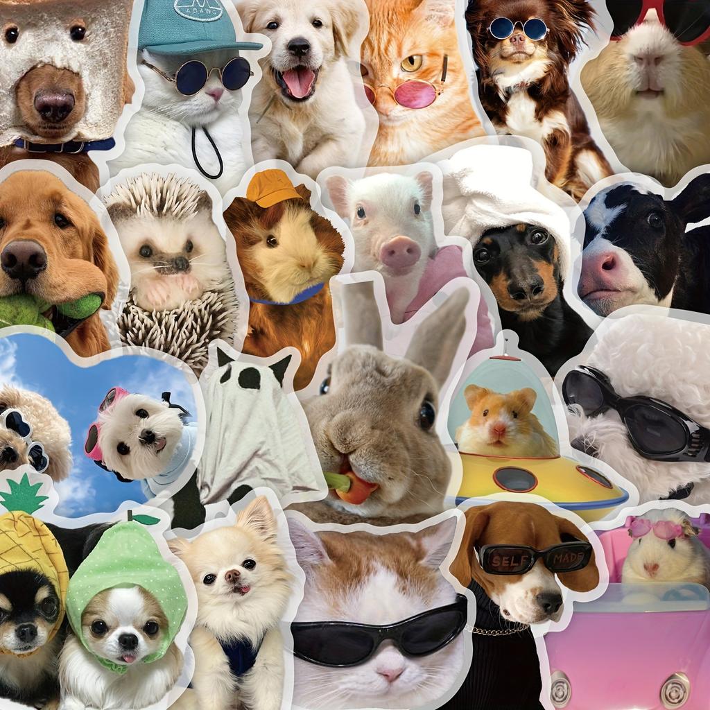 50pcs Animal Stickers Waterproof PET Self-Adhesive Decals with Playful Dog, Cat, Hedgehog & Guinea Pig Designs for Phone, Laptop, Luggage, Helmet