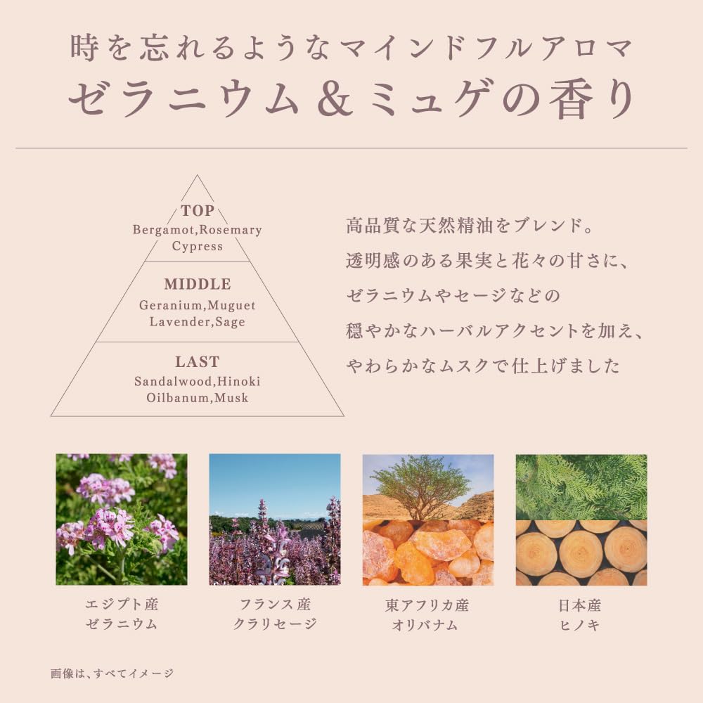 melt Moist Pump Pair Creamy Melt Foam Melting Experience Set 960ml for Relaxing Beauty + (Pair Pumps, + 2g)