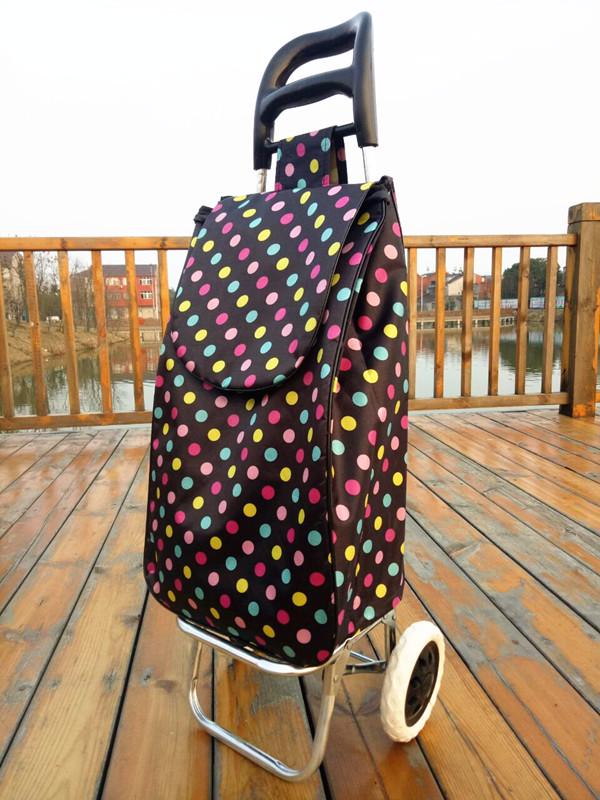 Carro Plegable Ligero para Personas Mayores - Carrito Portátil para Compras, Equipaje y Transporte