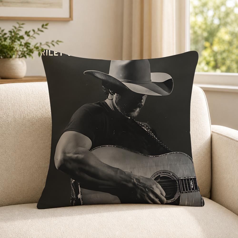 Singer RRiley GGreen Cushion Cover Soft Short Plush SkinFriendly Cushion Case for MultiScene Use