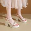 Aphixta 8.5cm High Heel Sandals Peep Toe Buckle Shoes Woman Platform Cross Straps Summer High Heel Shoes Female Size 41