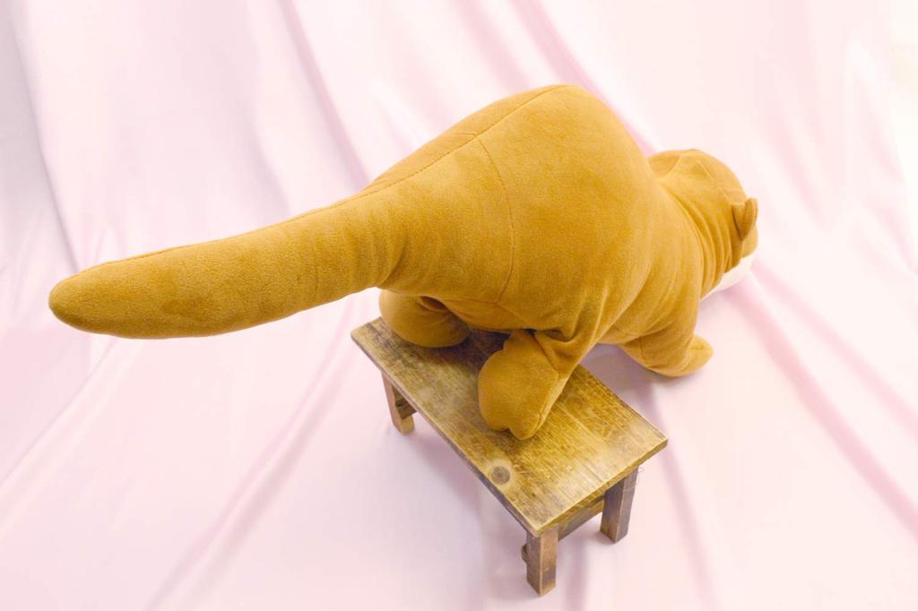 Cotton Cloudy M Otter Brown