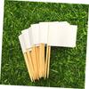 NUOLUX 200pcs Toothpick Flags, White Tags, Cup Flag Labels, Paper Flag Picks, Plant Labels, Toothpicks for Food, Plant Tags, Fruit Cake, White Flags,