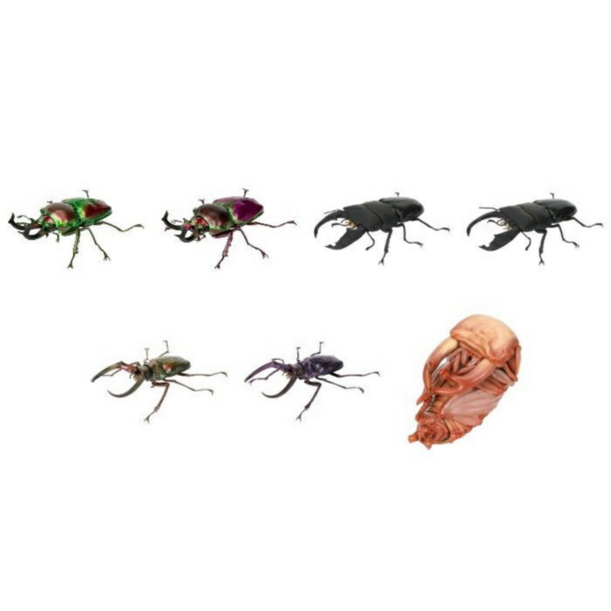 

BANDAI Living Creatures Encyclopedia: Stag Beetles 10 x 7 Types Set, Full Set, Gachapon Capsule Toy
