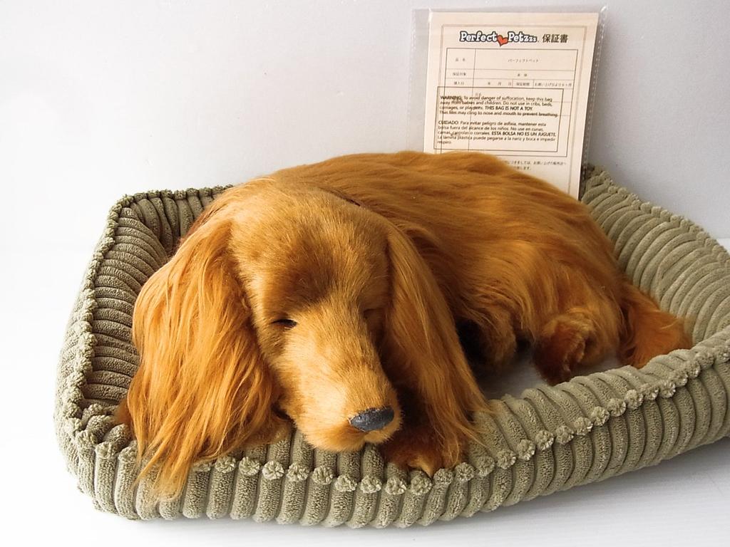 Nini and Kino Perfect Pet (Large Size) Dachshund Long (Red) Stuffed Toy Dog Dog Realistic Look-alike Dachshund Dachshund Miscellaneous Animal Healing