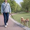 10m Robuste Freihand-Hundeleine – für Hunde bis 80kg, Crossbody, Camping, Park, Training