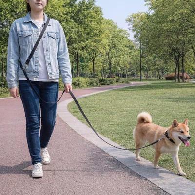 10m Heavy-Duty Hands-Free Dog Leash – for Dogs Up To 80kg, Crossbody, Camping, Park, Training