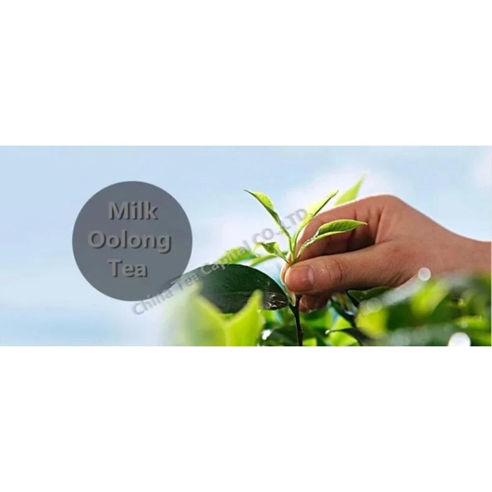 Milk Oolong Tea Jin Xuan High Mountain Tie Guan Yin Green Oolong Loose Leaf 50g