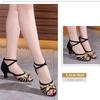 Damen Erwachsene Latein Tanzschuhe Hoher Absatz Tanzschuhe Damen Weicher Boden Modern Standard Tanzschuhe