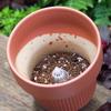Orchid & Succulent Drainage Mesh Pad - Prevents Soil Leakage & Ensures Breathability