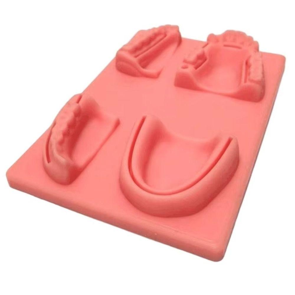 Suturing Practice Dental Teaching Model Gingival Suture Training Model  For Dentisit Teaching