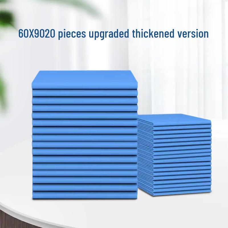 Care Pad: Hospital-Grade Disposable Large Postpartum and Elderly/Infant Urine Pads (60x80cm, 45x60cm)