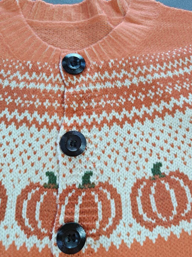 Fair Isle Color Block Single-Breasted Cardigan - Women's Autumn/Winter Knitwear