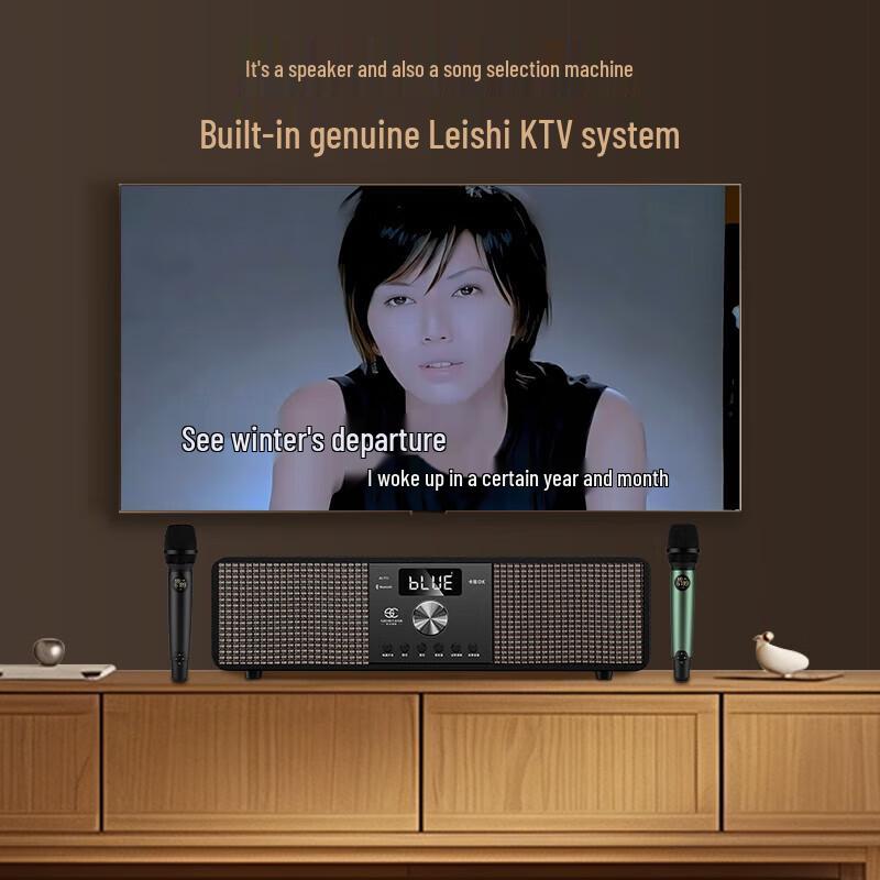 Home KTV Karaoke Audio System CN Plug (adapter Included)