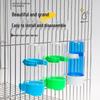 Automatic Bird Water Feeder for Budgies, Lovebirds, and Cockatiels - Essential Bird Supplies