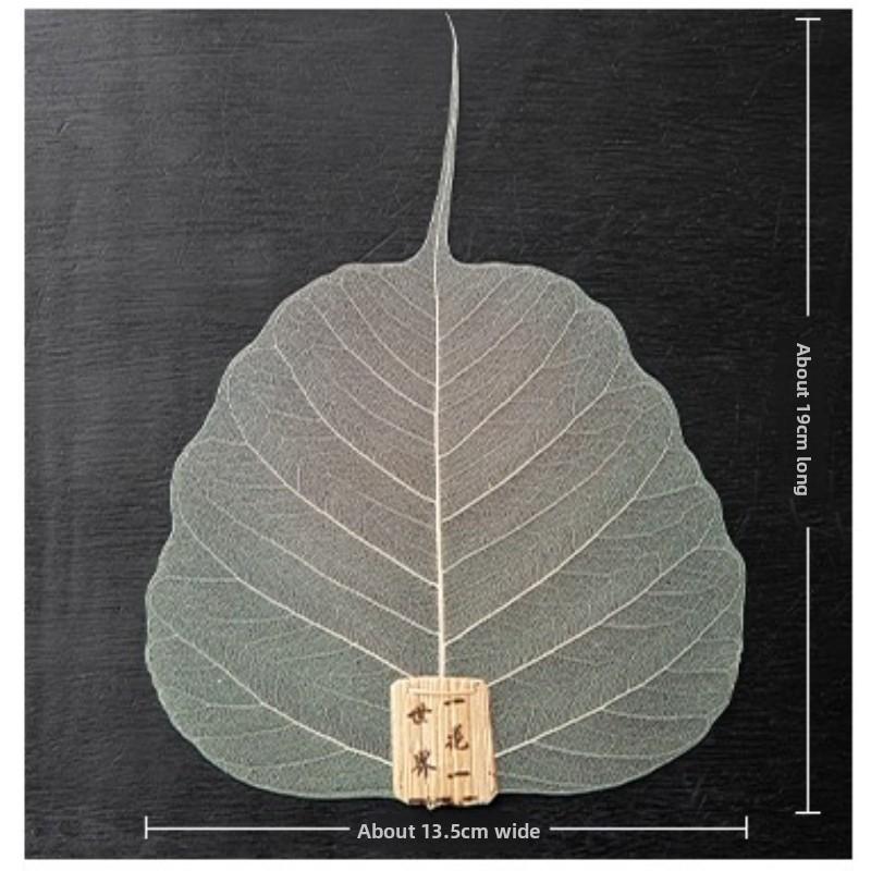 Pure natural Bodhi leaf tea leak, creative personalized tea filter, filter, Kung Fu tea set tea ceremony accessories