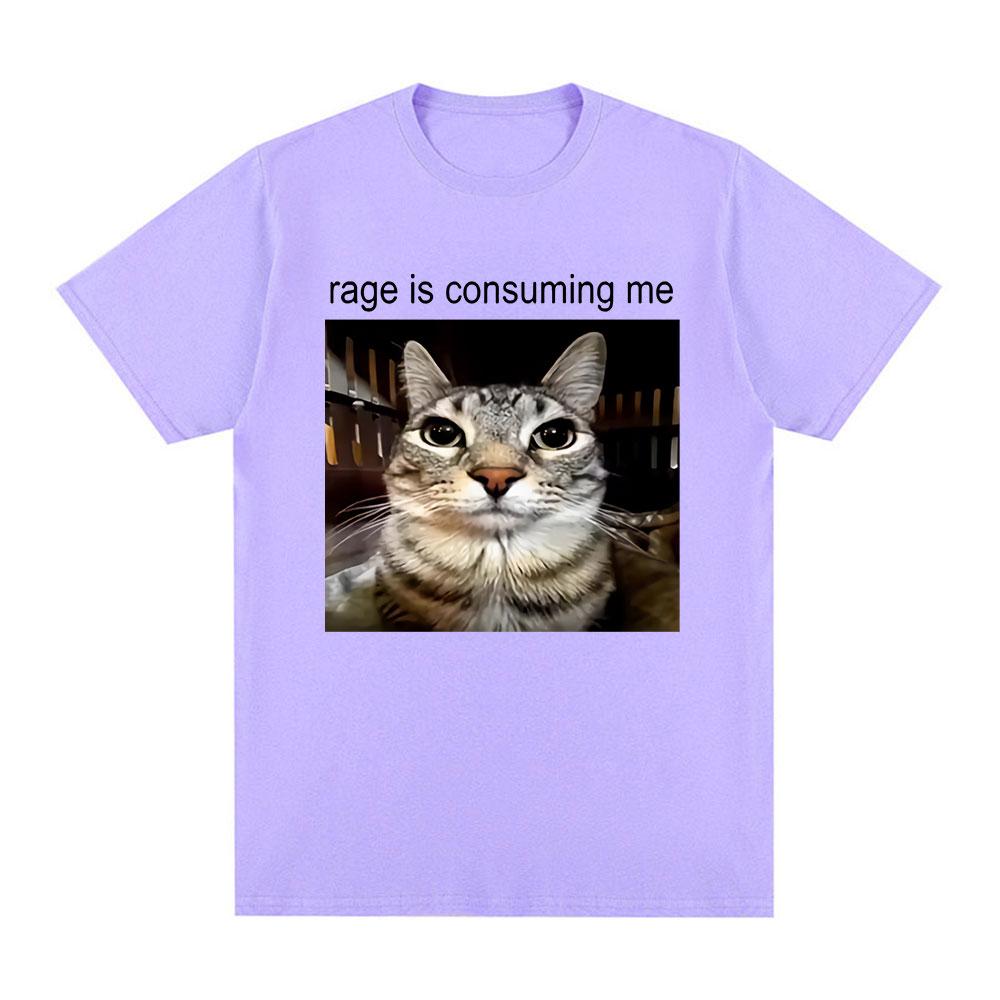 Rage Is Consuming Me Silly Staring Cat Meme Tee Shirt Casual Cotton Short Sleeve T-shirts Men Women Cat Lover T Shirt Oversized